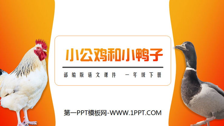 图片[1]-《小公鸡和小鸭子》PPT课件免费下载-第一PPT