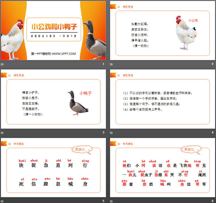 图片[2]-《小公鸡和小鸭子》PPT课件免费下载-第一PPT