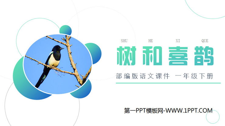 图片[1]-《树和喜鹊》PPT课件免费下载-第一PPT