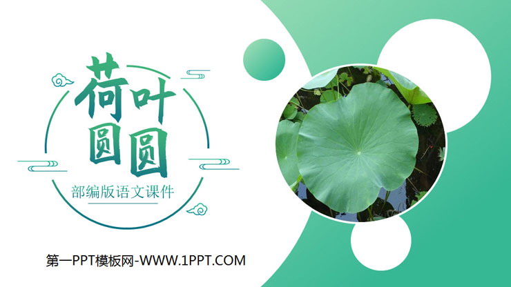 图片[1]-《荷叶圆圆》PPT课件免费下载-第一PPT