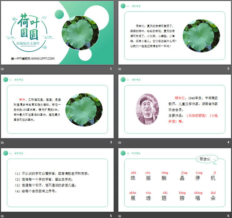 图片[2]-《荷叶圆圆》PPT课件免费下载-第一PPT