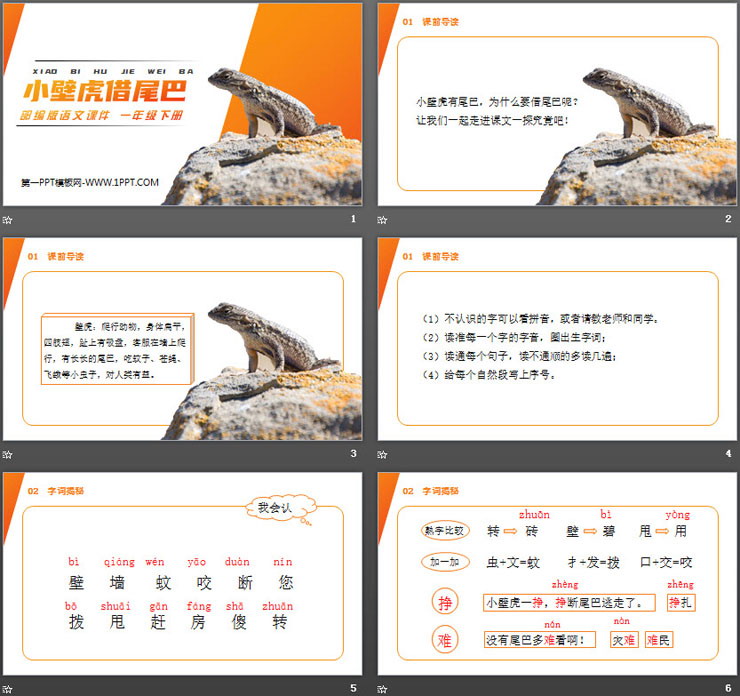 图片[2]-《小壁虎借尾巴》PPT课件免费下载-第一PPT