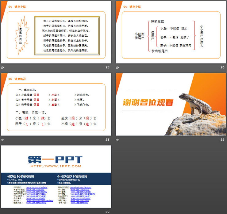图片[6]-《小壁虎借尾巴》PPT课件免费下载-第一PPT