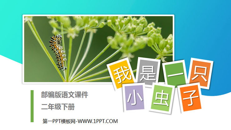 图片[1]-《我是一只小虫子》PPT课件免费下载-第一PPT