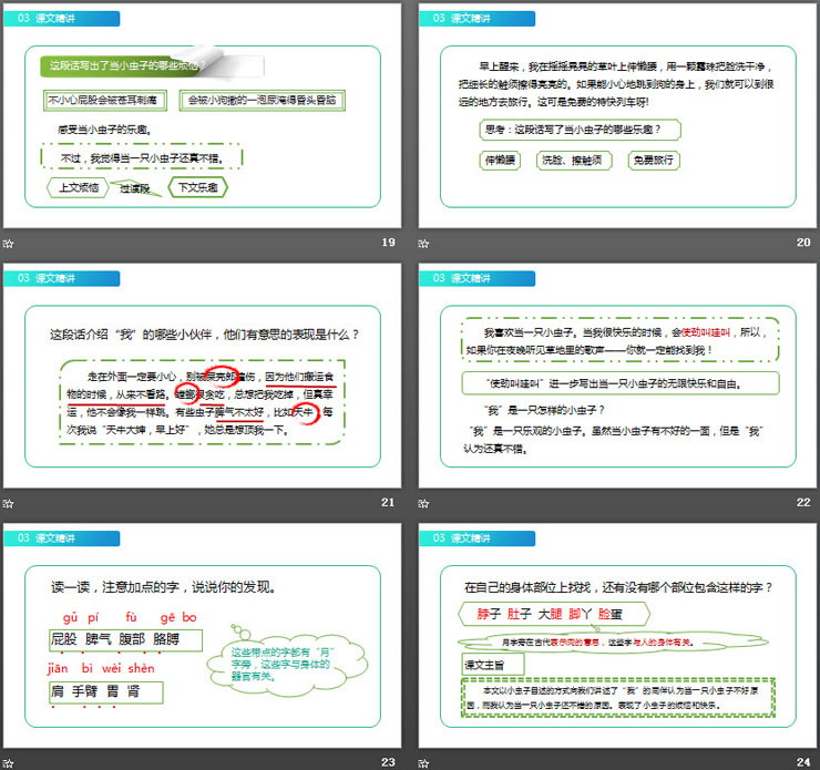 图片[5]-《我是一只小虫子》PPT课件免费下载-第一PPT
