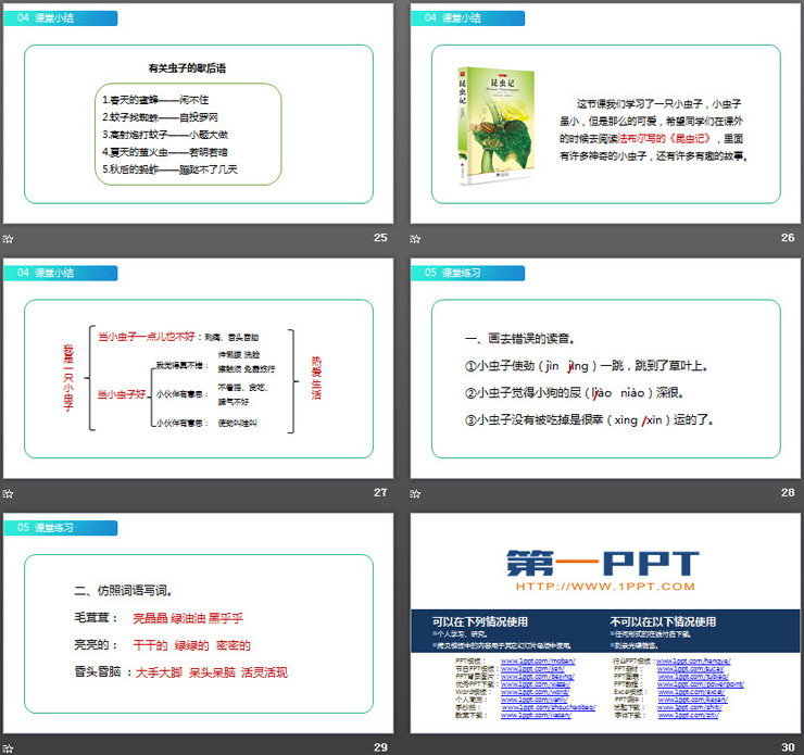 图片[6]-《我是一只小虫子》PPT课件免费下载-第一PPT