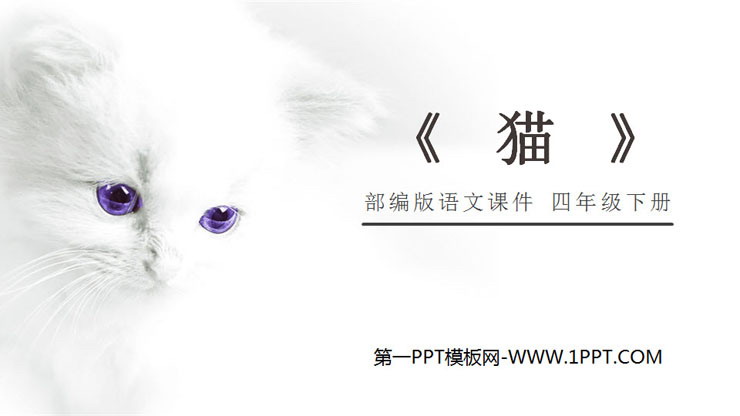 图片[1]-《猫》PPT课件免费下载-第一PPT