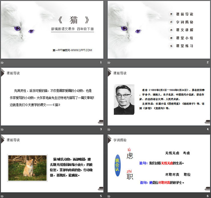 图片[2]-《猫》PPT课件免费下载-第一PPT
