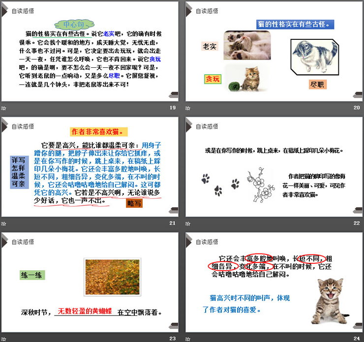 图片[5]-《猫》PPT课件免费下载-第一PPT