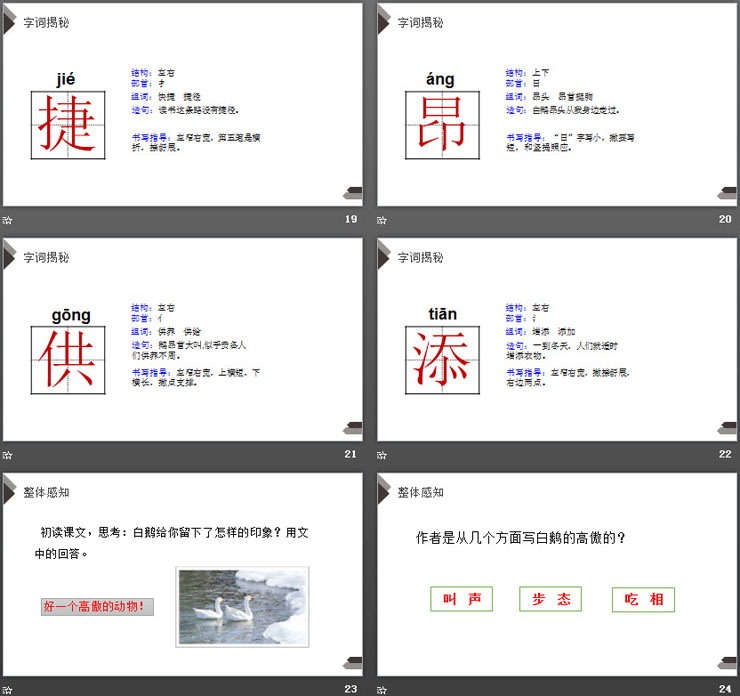 图片[5]-《白鹅》PPT下载-第一PPT
