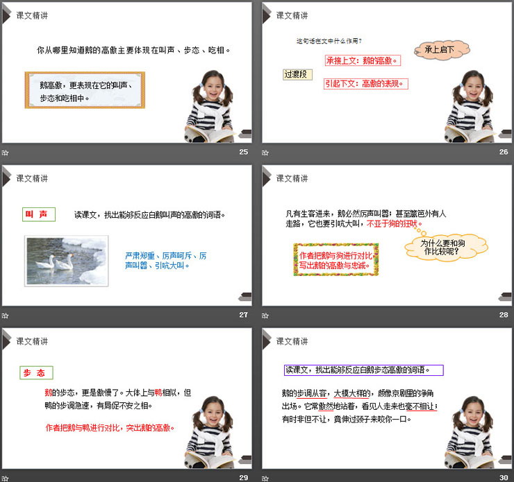 图片[6]-《白鹅》PPT下载-第一PPT