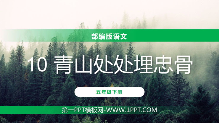 图片[1]-《青山处处埋忠骨》PPT课件免费下载-第一PPT