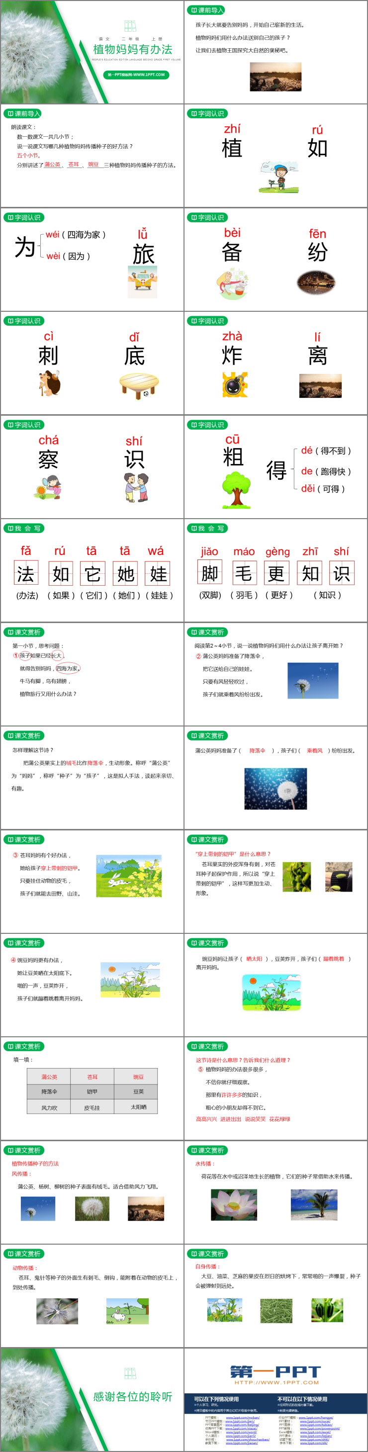 图片[2]-《植物妈妈有办法》PPT精品课件下载-第一PPT