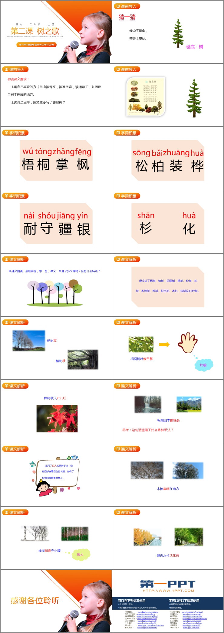 图片[2]-《树之歌》PPT精品课件下载-第一PPT