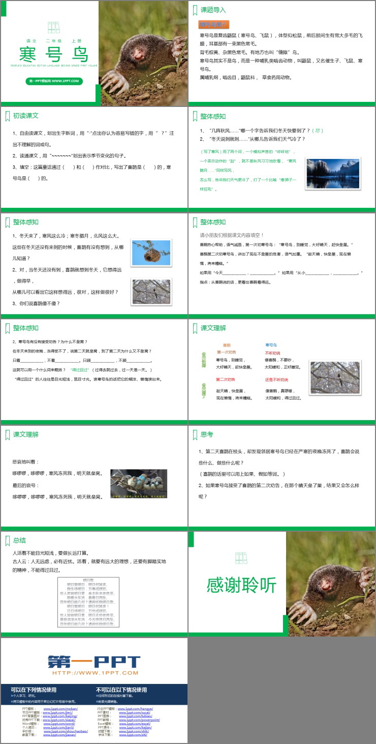 图片[2]-《寒号鸟》PPT精品课件下载-第一PPT
