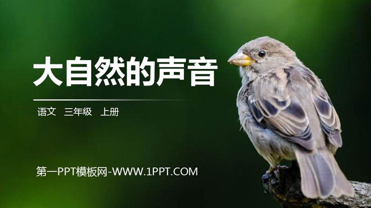 图片[1]-《大自然的声音》PPT精品课件-第一PPT