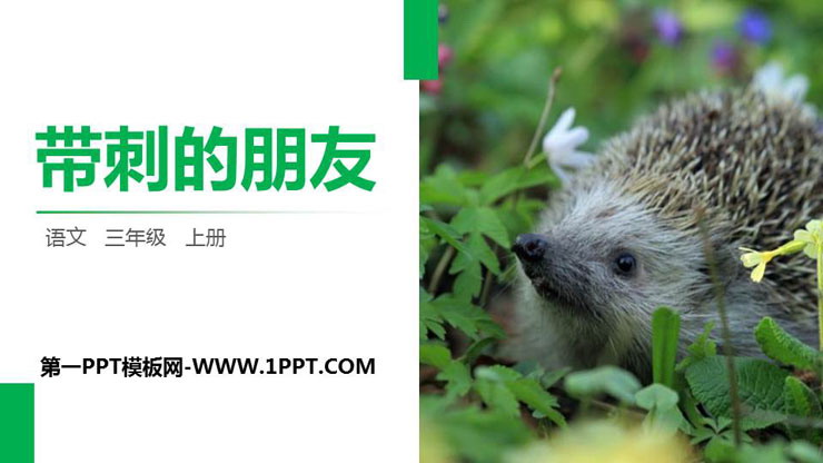 图片[1]-《带刺的朋友》PPT精品课件-第一PPT