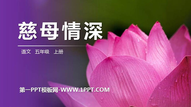 图片[1]-《慈母情深》PPT精品课件-第一PPT