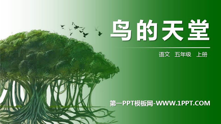 图片[1]-《鸟的天堂》PPT精品课件-第一PPT