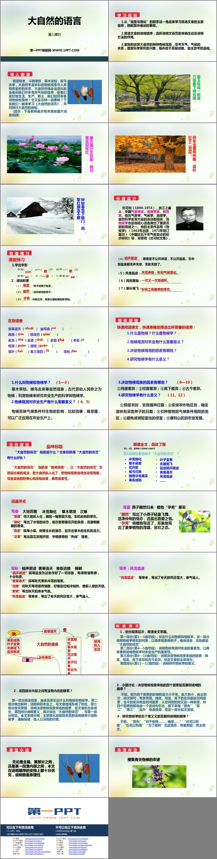 图片[2]-《大自然的语言》PPT课件下载(第1课时)-第一PPT