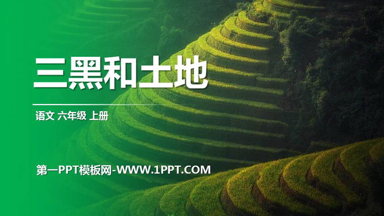 图片[1]-《三黑和土地》PPT优秀课件下载-第一PPT