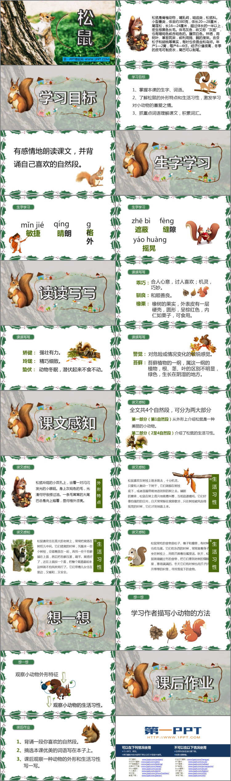 图片[2]-《松鼠》PPT优质课件下载-第一PPT