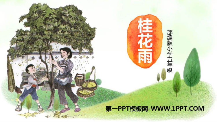 图片[1]-《桂花雨》PPT免费课件下载-第一PPT