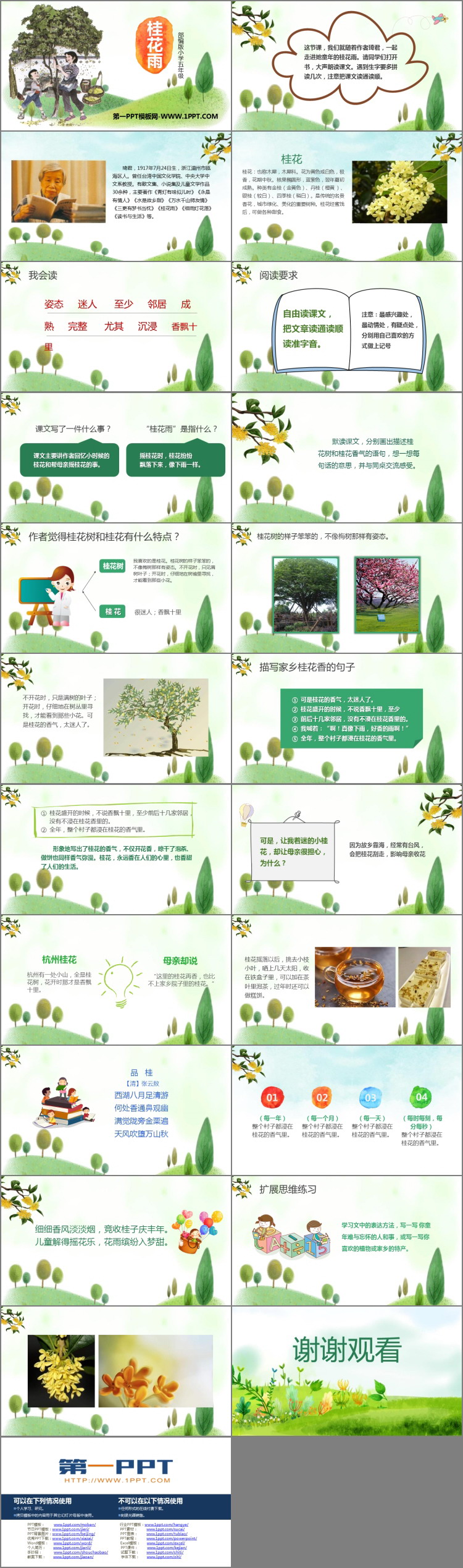 图片[2]-《桂花雨》PPT免费课件下载-第一PPT