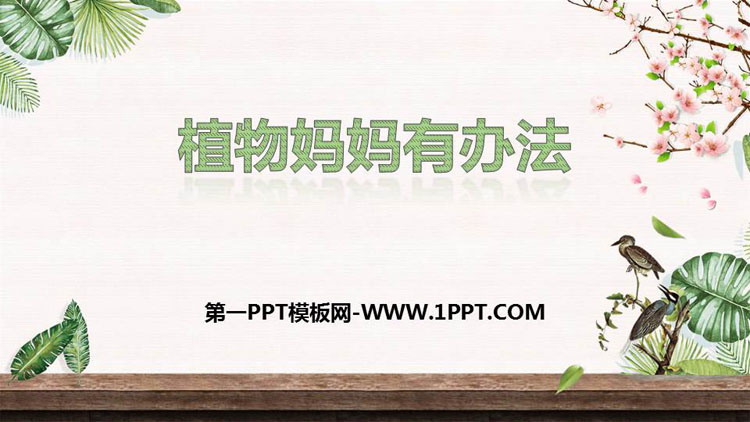 图片[1]-《植物妈妈有办法》PPT优质课件免费下载-第一PPT