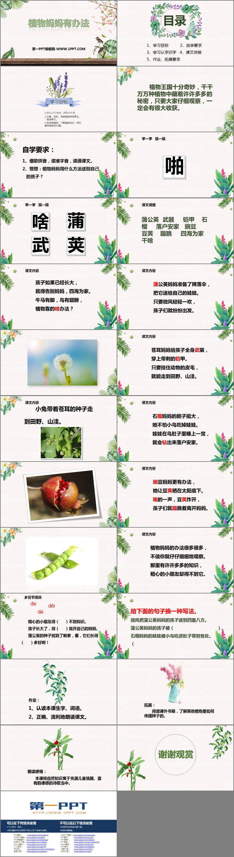 图片[2]-《植物妈妈有办法》PPT优质课件免费下载-第一PPT
