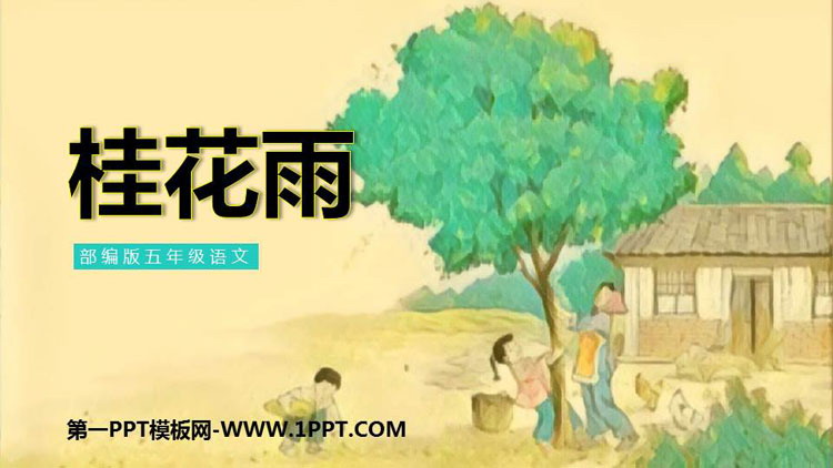图片[1]-《桂花雨》PPT优质课件免费下载-第一PPT