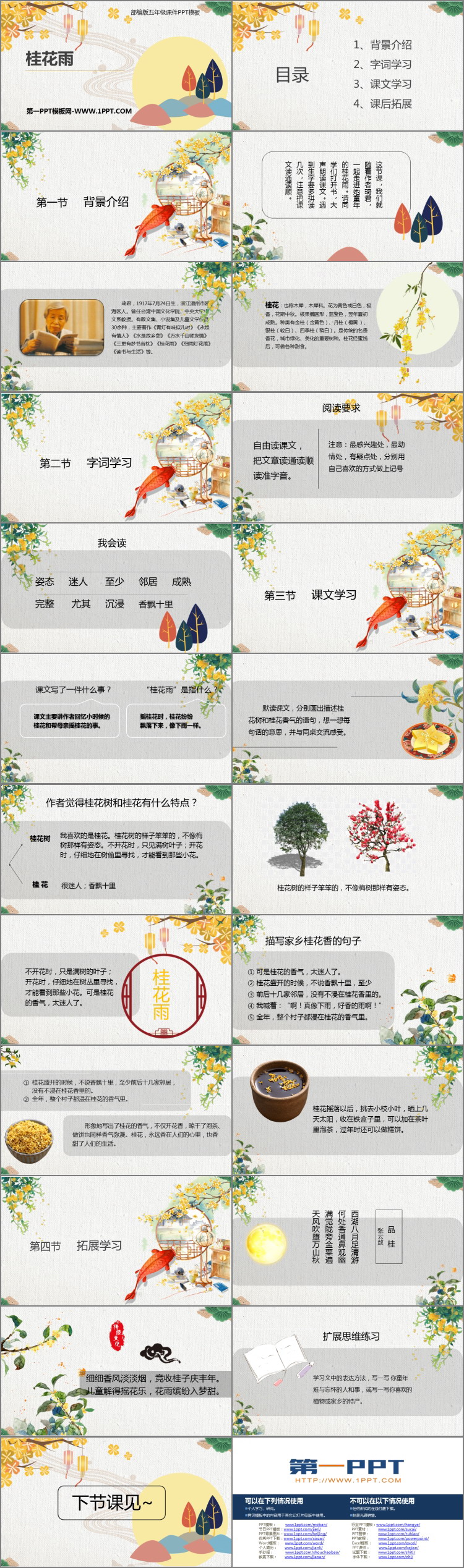 图片[2]-《桂花雨》PPT课文课件-第一PPT