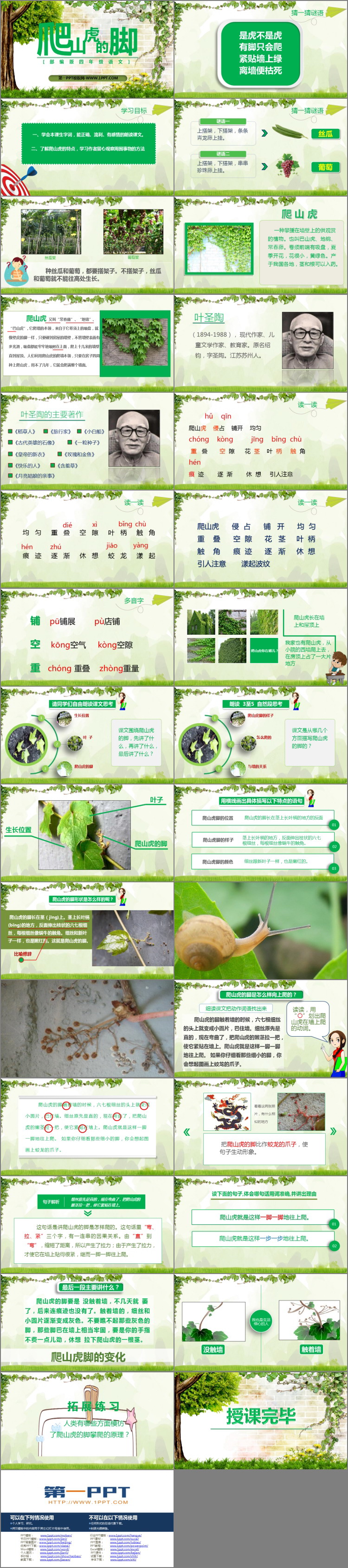 图片[2]-《爬山虎的脚》PPT课文课件-第一PPT