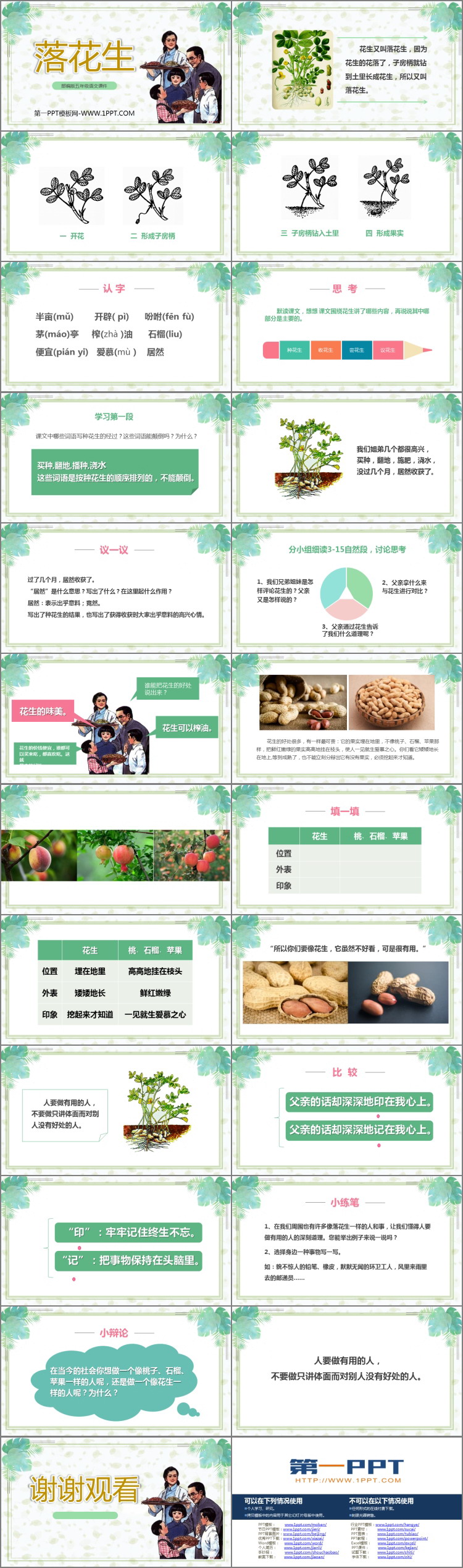 图片[2]-《落花生》PPT优质课件下载-第一PPT