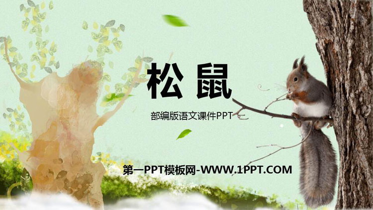 图片[1]-《松鼠》PPT教学课件免费下载-第一PPT