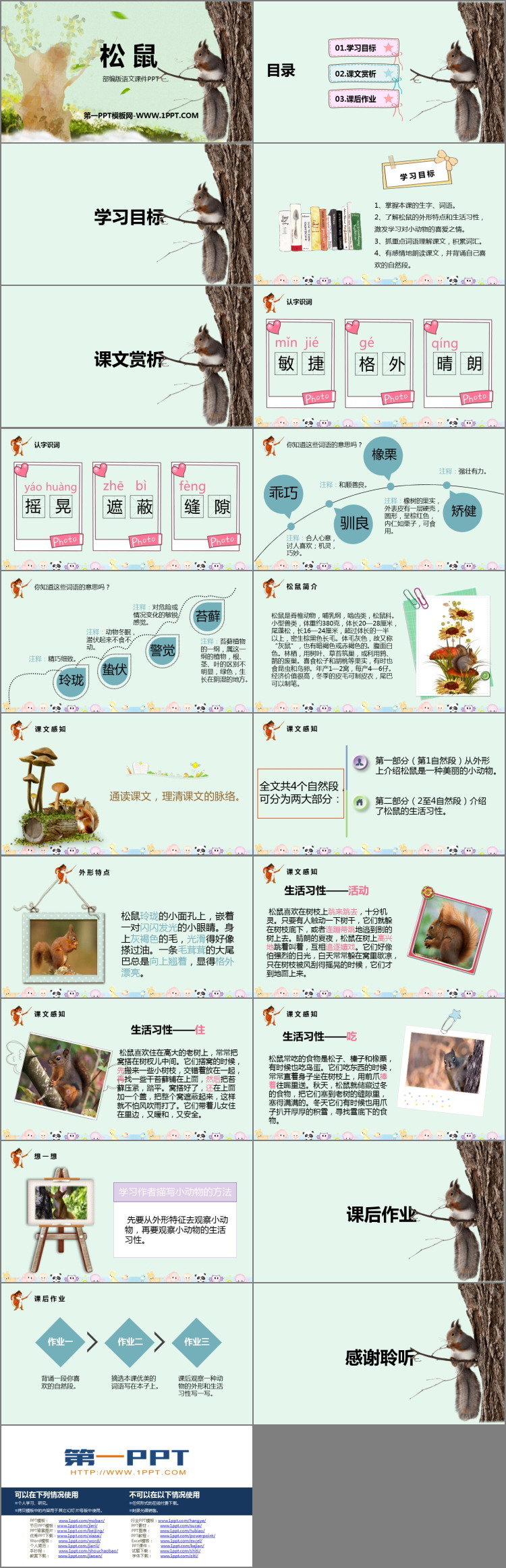 图片[2]-《松鼠》PPT教学课件免费下载-第一PPT