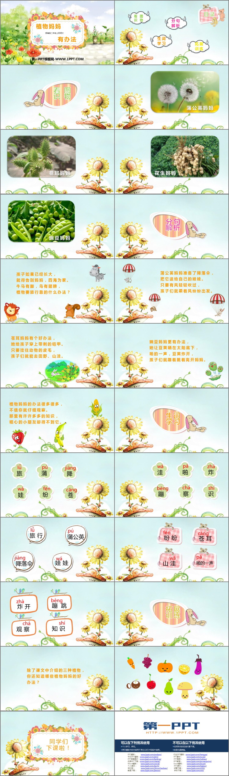 图片[2]-《植物妈妈有办法》PPT免费教学课件-第一PPT