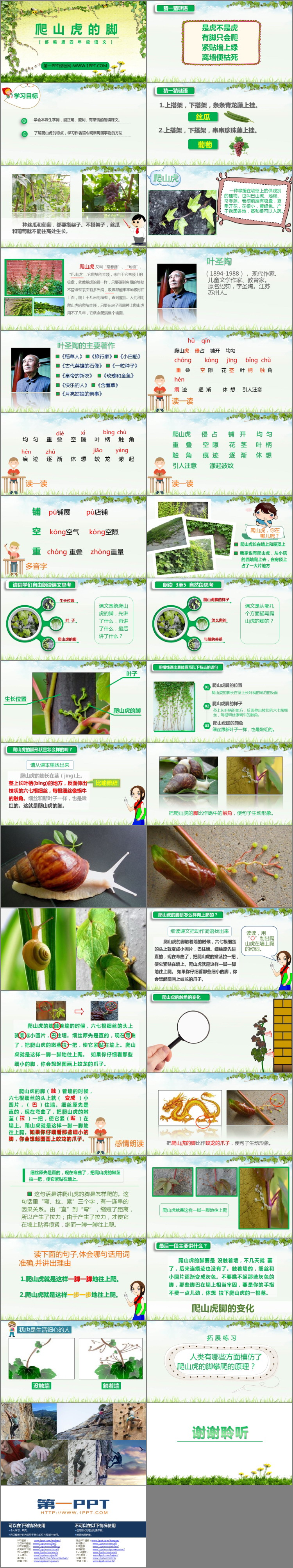 图片[2]-《爬山虎的脚》PPT课文课件下载-第一PPT