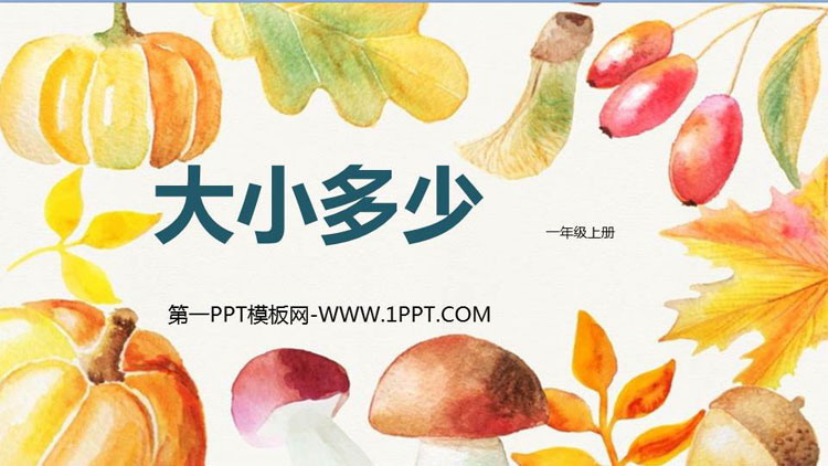图片[1]-《大小多少》PPT教学课件-第一PPT