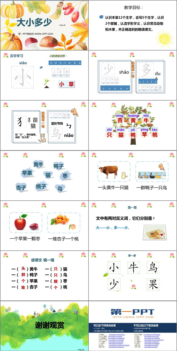 图片[2]-《大小多少》PPT教学课件-第一PPT