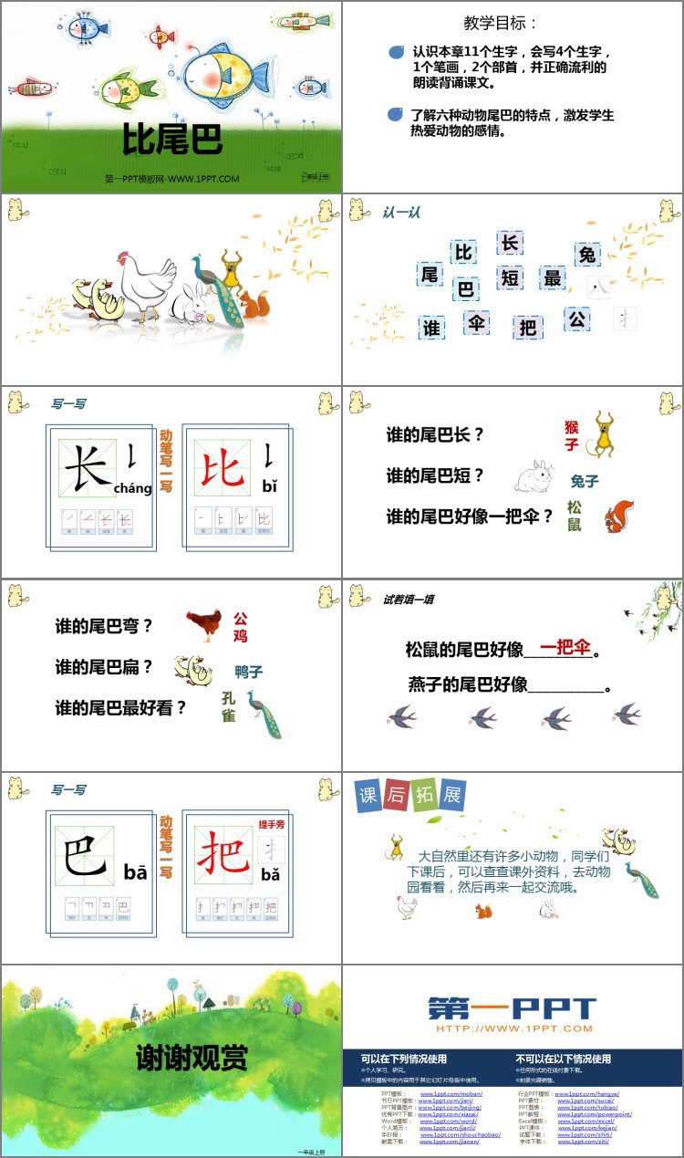 图片[2]-《比尾巴》PPT教学课件-第一PPT