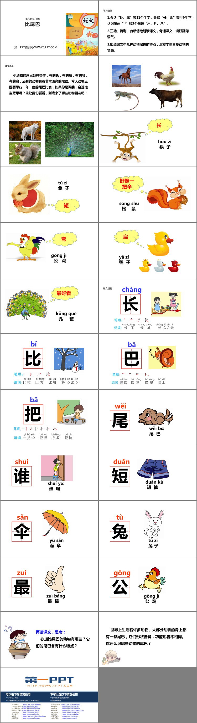 图片[2]-《比尾巴》PPT教学课件下载-第一PPT