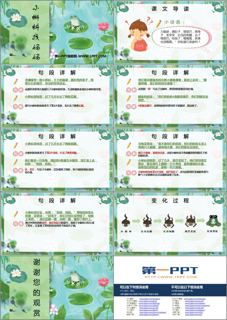 图片[2]-《小蝌蚪找妈妈》PPT教学课件下载-第一PPT