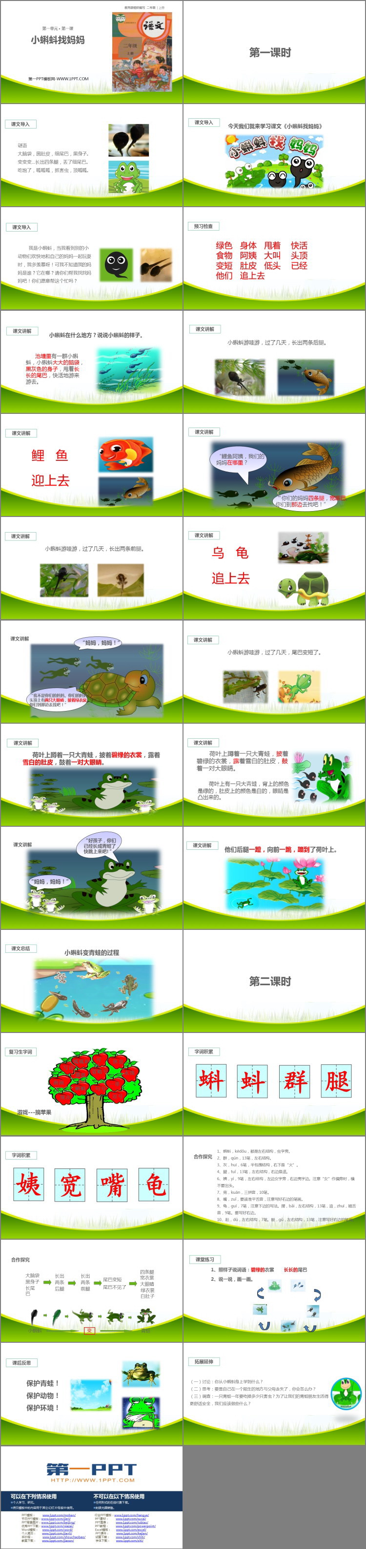 图片[2]-《小蝌蚪找妈妈》PPT精品课件下载-第一PPT