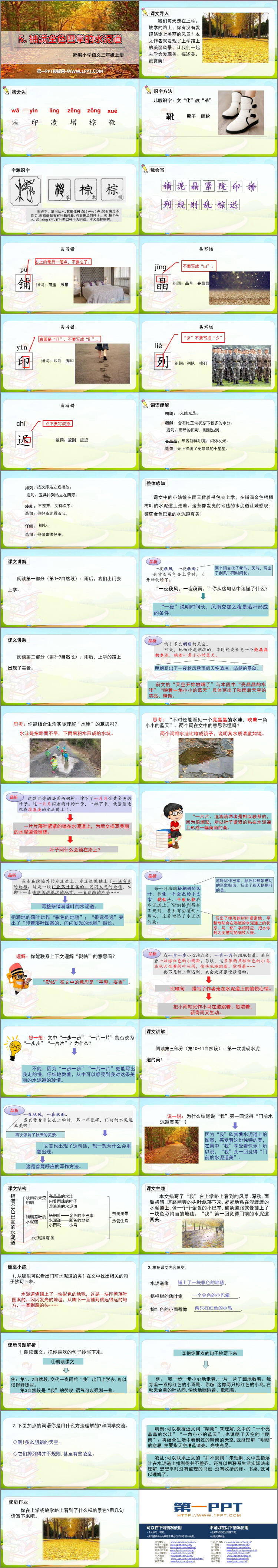 图片[2]-《铺满金色巴掌的水泥道》PPT课文课件下载-第一PPT