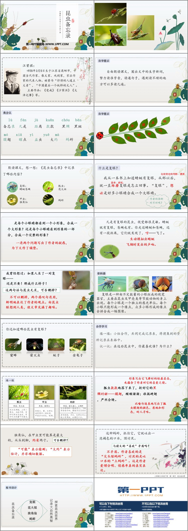 图片[2]-《昆虫备忘录》PPT教学课件-第一PPT