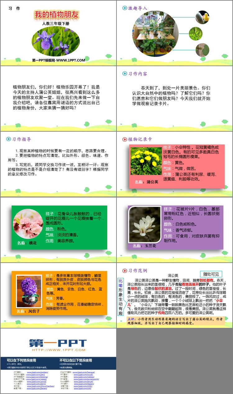 图片[2]-《我的植物朋友》PPT免费下载-第一PPT