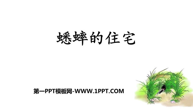 图片[1]-《蟋蟀的住宅》PPT优秀课件下载-第一PPT
