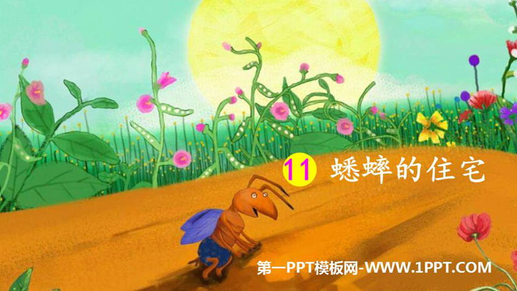 图片[1]-《蟋蟀的住宅》PPT课文课件下载-第一PPT
