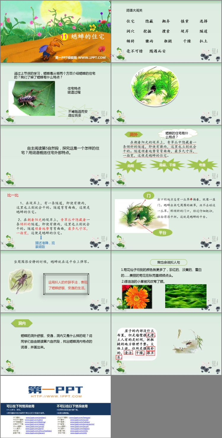 图片[2]-《蟋蟀的住宅》PPT课文课件下载-第一PPT
